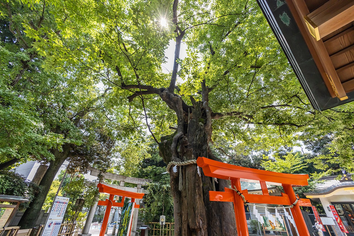 ⛩️ 닛타 신사 (닛타 진자)